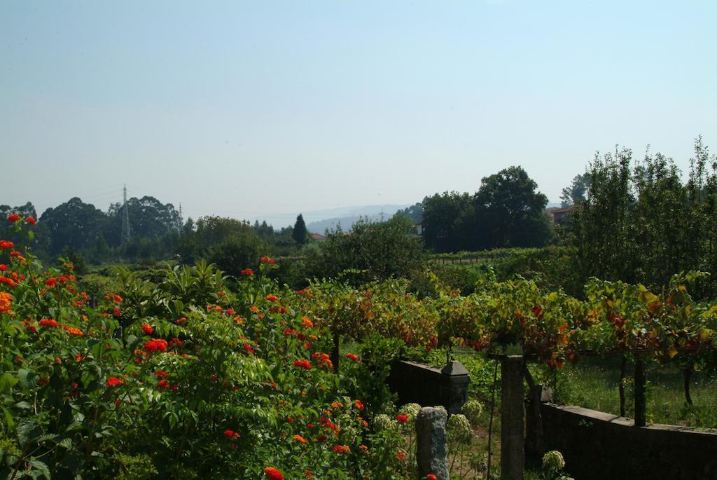Quinta Do Vale Do Monte Guest House Viana do Castelo Bagian luar foto