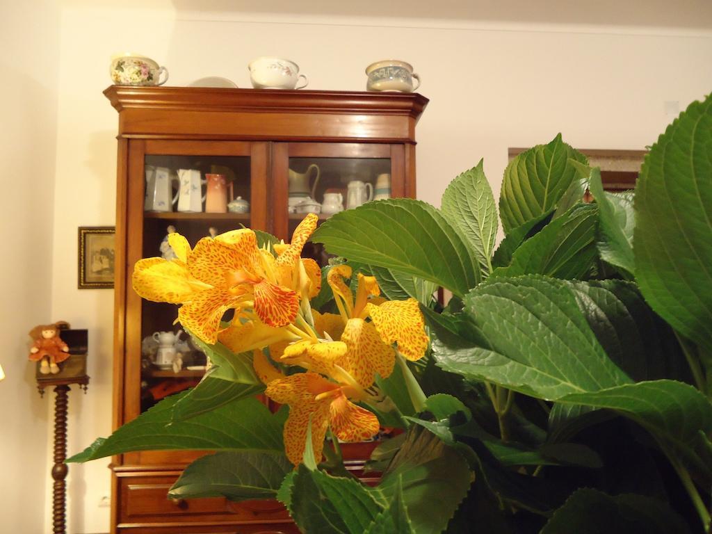 Quinta Do Vale Do Monte Guest House Viana do Castelo Bagian luar foto