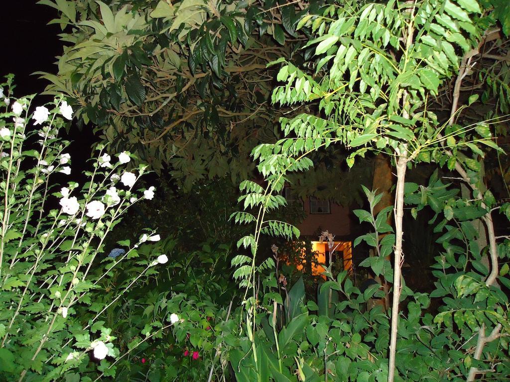 Quinta Do Vale Do Monte Guest House Viana do Castelo Bagian luar foto